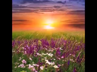 Video 20200408 204610 mp4