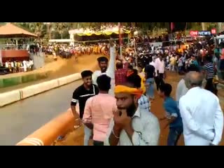 Watch srinivasa gowda from karnataka ran 100m in seconds at a kambala buffalo race