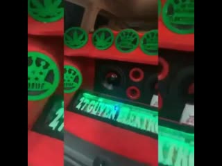 🔊kara kedi meydanlar da 😍 🔊