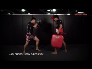 Muay thai 5 low leg kick combinations evolve university