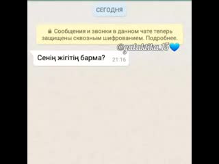 Galaktika 15 b3tawipn28p mp4