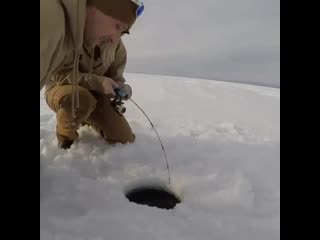 Парень учит свою девушку ловить крупную щуку gfhtym exbn cdj ltdeire kjdbnm rhegye oere gfhtym exbn cdj ltdeire kjdbnm rhegye