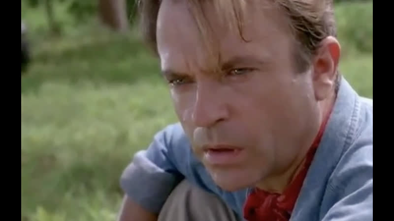 Два толстых толстые ишаки ишак