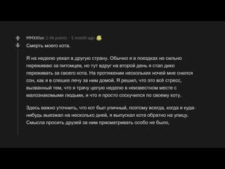 [апвоут] когда не прислушался к интуиции и пожалел 😨