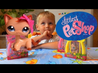 Lps/ littlest pet shop сюрпризы игрушки распакоа surprises toys unpacking