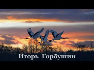 Журавли * 🦢 ◦ ✿ ◦ ¸🌹¸ ✿ ◦ игорь горбушин ◦✿◦ ¸🌹¸ ✿ ◦ * 🌸 🌼 🦢 ✔обалденная песня для души