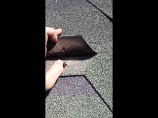 Первичный осмотр кровли2