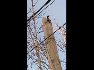 Vid 20201121 162831 mp4