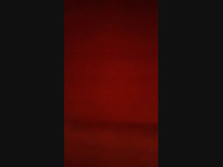 Live қазақы құмай тазы