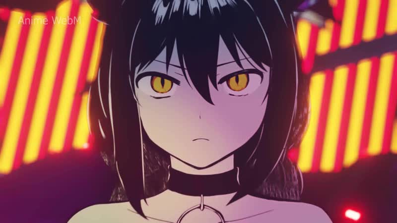 Jahy sama wa kujikenai