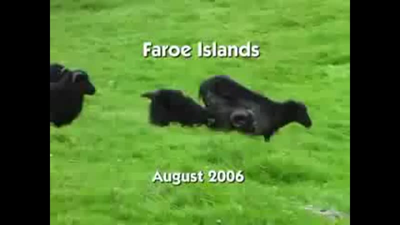 Faroe islands (august 2006)