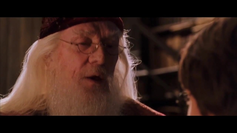 Ладно сука, иди нахуй / гари поттер вп