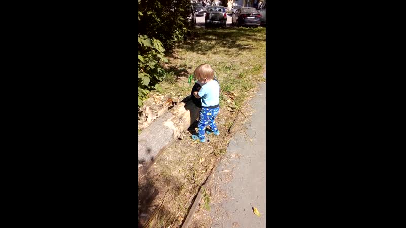 Матвей, сын ясеня