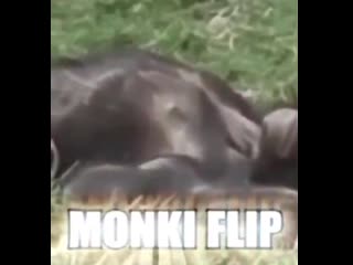 Monki flip