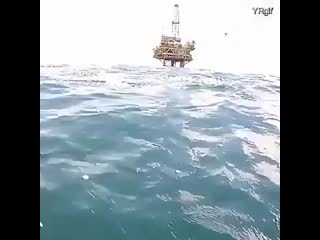 Diver gets a lucky shot of a great white hunting a hammerhead shark