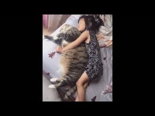 С котиком теплее