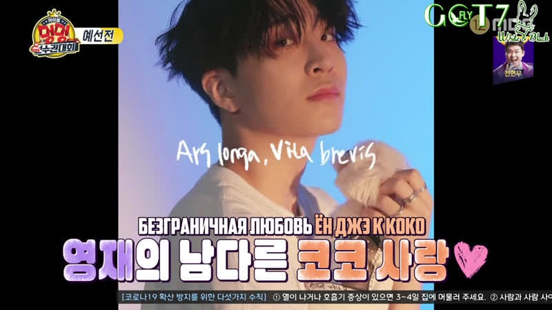 🏅 "гав гав" чемпионат среди айдолов 2020 🐕 3 часть 🎯