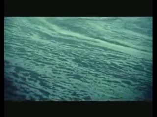 Ian oliver feat shantel bucovina (2008)