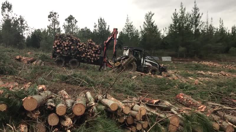 Ponsse ergo 8w h7 and valtra t173