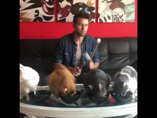 My hooman is goin crazy again⠀