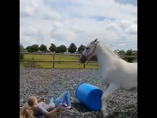 Insta horse club 20200623 1 mp4
