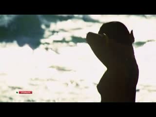 Мария флор любимчик / maria flor o bem amado ( 2010 )