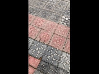 Live бухара | bukhara