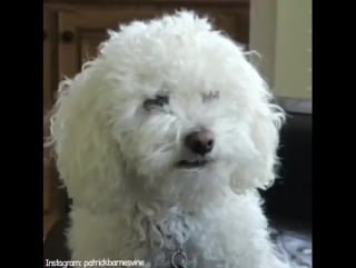 Every time i eat in my house! 😂 #лучики счастья