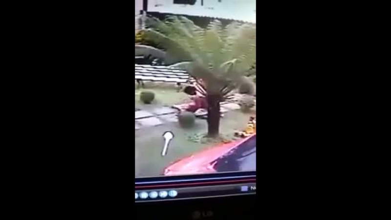 ✔ особое мнение (21+) известную бразильскую танцовщицу жестоко молодыебойфренд