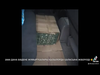 2000 дана бөдене жұмыртқалары қызылорда қаласына жіберілді ✊🇰🇿