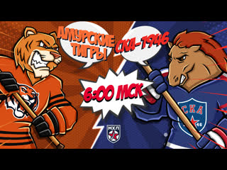 Live! париматч мхл «амурские тигры» «ска 1946» ( – 0600)