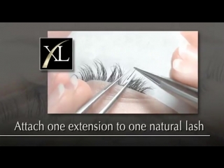 Eyelash extensions how xtreme lashes® are applied