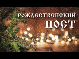 Начало рождественского поста, преподобный паисий величковский 28 ноября понедельник