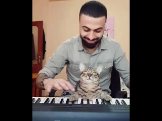 Sarper duman & cat