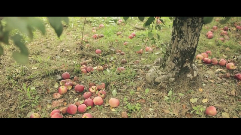 "батарейка" (the battery) 2012 год