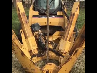 Машина для пересадки деревьев vfibyf lkz gthtcflrb lthtdmtd