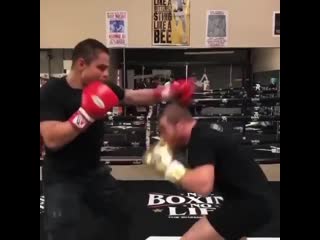 Тренироа с канело nhtybhjdrf c rfytkj