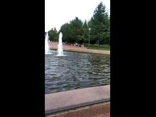 Vid 20200912 144932 mp4