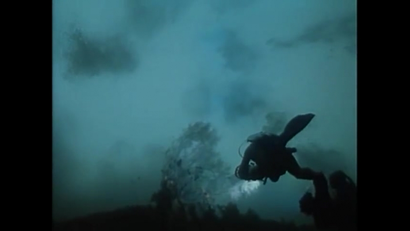 Повторное открытие мира #8 новая зеландия роза и дракон