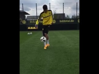 Тренироа марка бартры