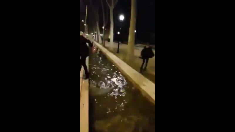 Осеннее купание