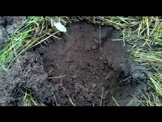 Интересная находка