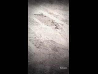 Storysaver rodrigo bentancur 88763250 108542437774115 1770997263896618234 n mp4