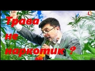 Трава не молодые?