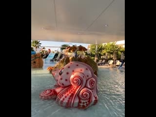 Bellagio agency 20201116 121320 5 mp4