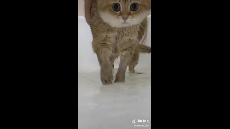 Ватрушка в ванной