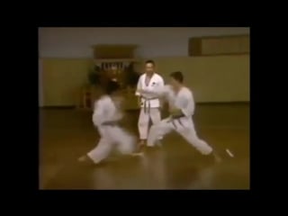 Hasha no kumite masahiko tanaka sensei