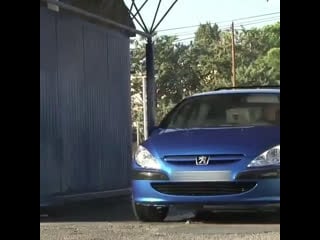 Когда голуби за одно с хозяином мойки