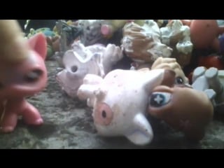 Недавняя встреча с подругами lps⭐