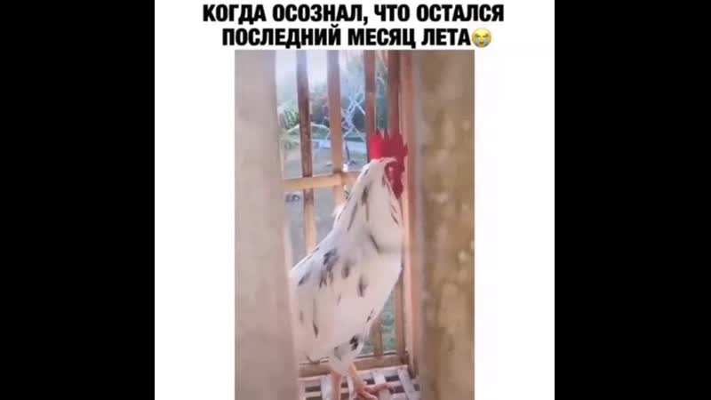 Осознание